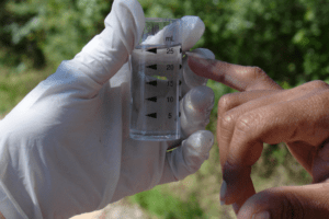 A hand in a white glove holds a vial with graduation markings